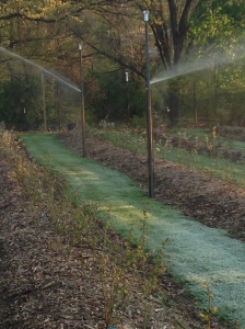 Turned on the Frost Heads